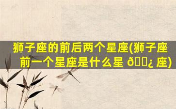 狮子座的前后两个星座(狮子座前一个星座是什么星 🌿 座)
